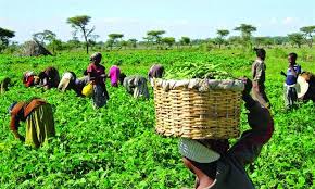 Economic Independence
